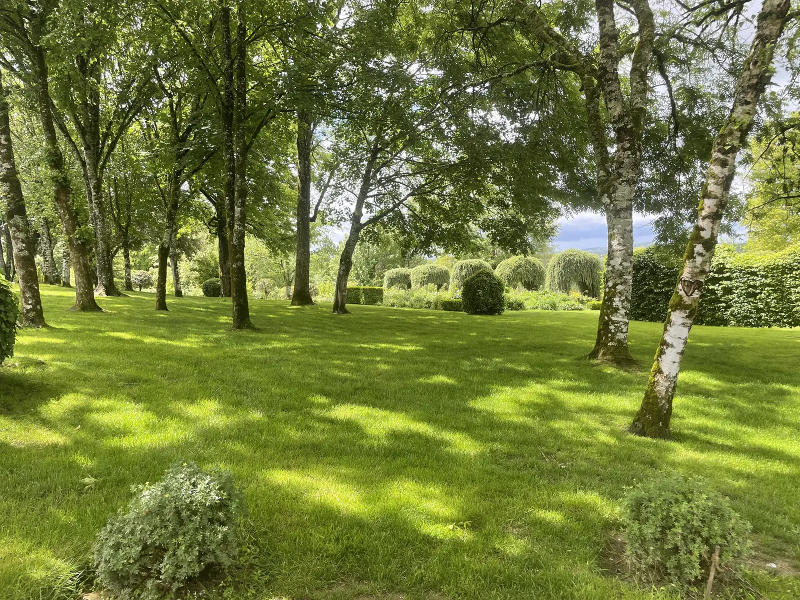 Parc entretenu par L'Entreprise Paysagiste dans le Puy-de-Dôme