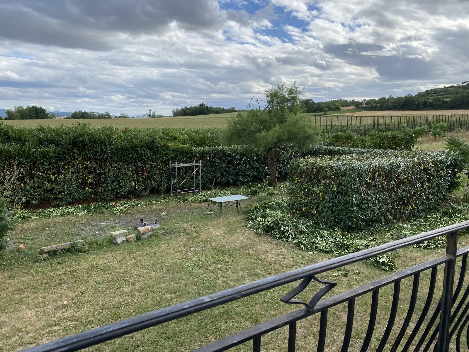 Rabattage haie Lezoux