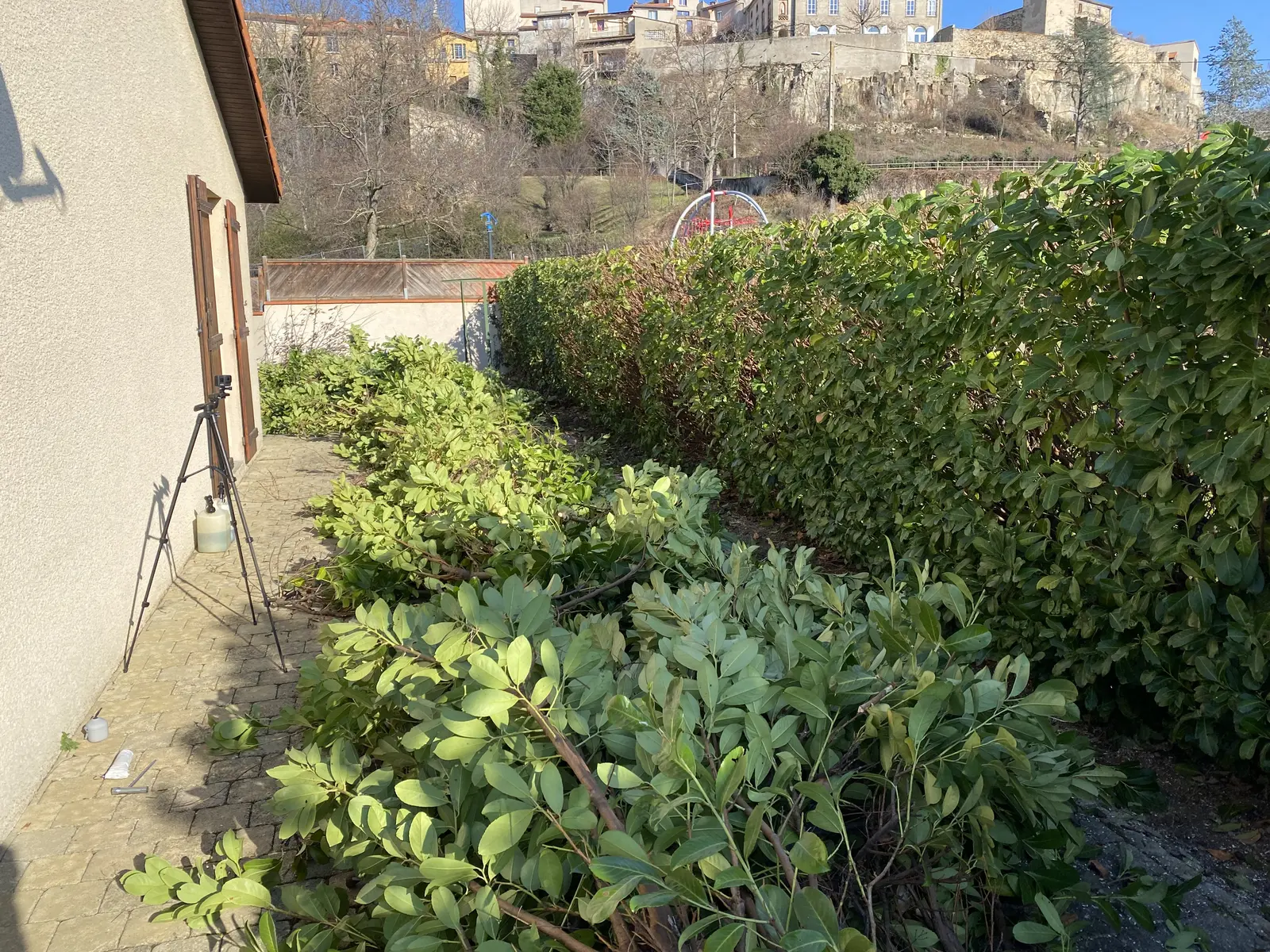 Rabattage haie Mur-sur-Allier