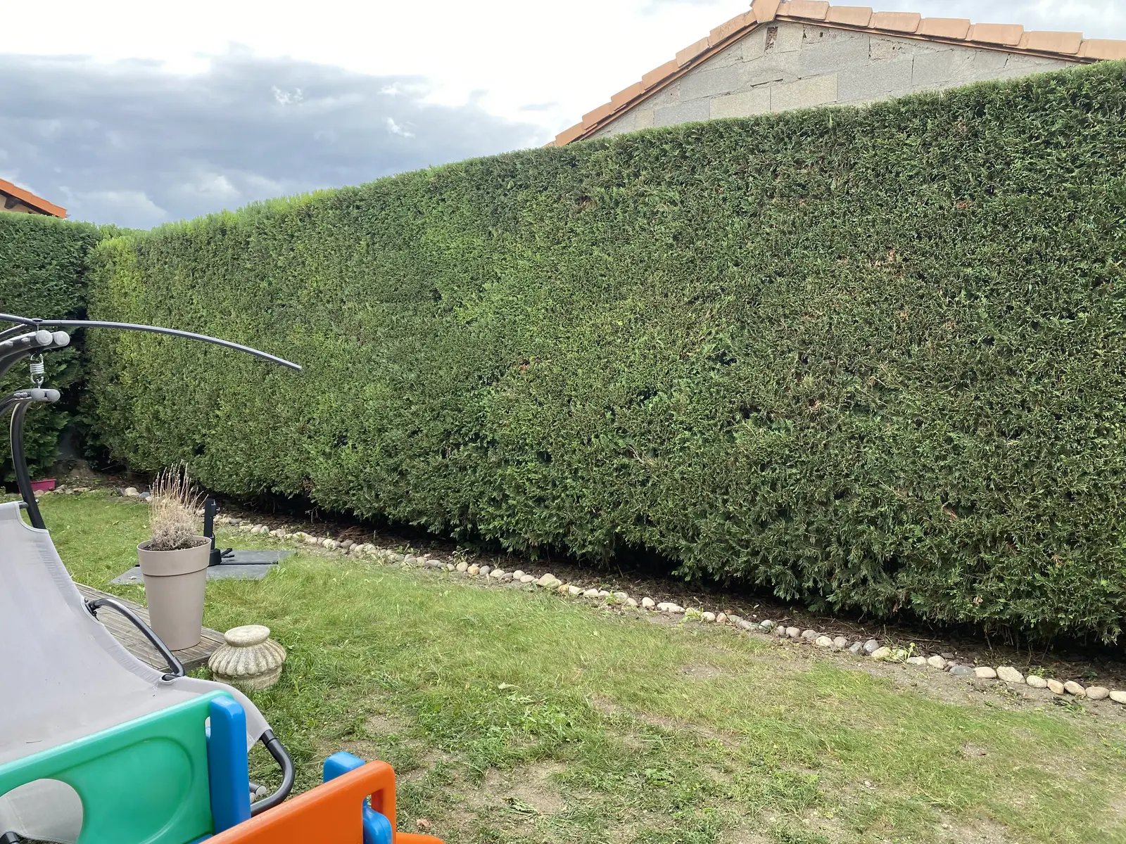 Taille de haie Cournon-d'Auvergne