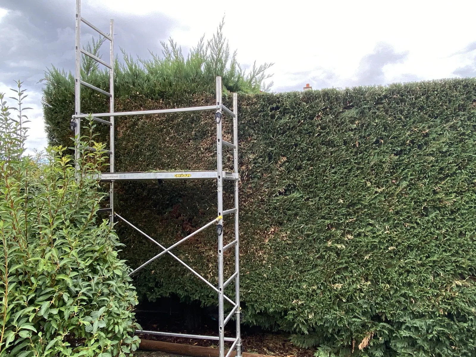 Taille de haie Pont-du-Château